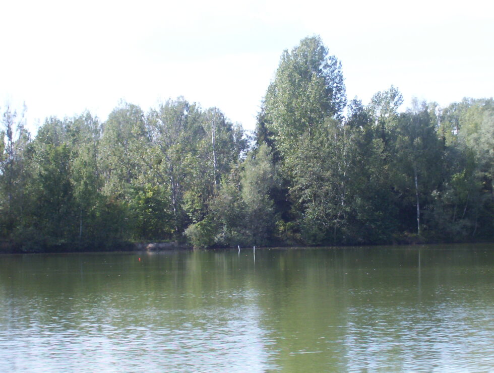 Fishing Licence Apply for a fishing Licence